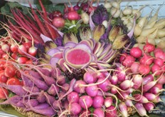 Different types of radish and other veggies with Watermelon Radish being the centerpiece.